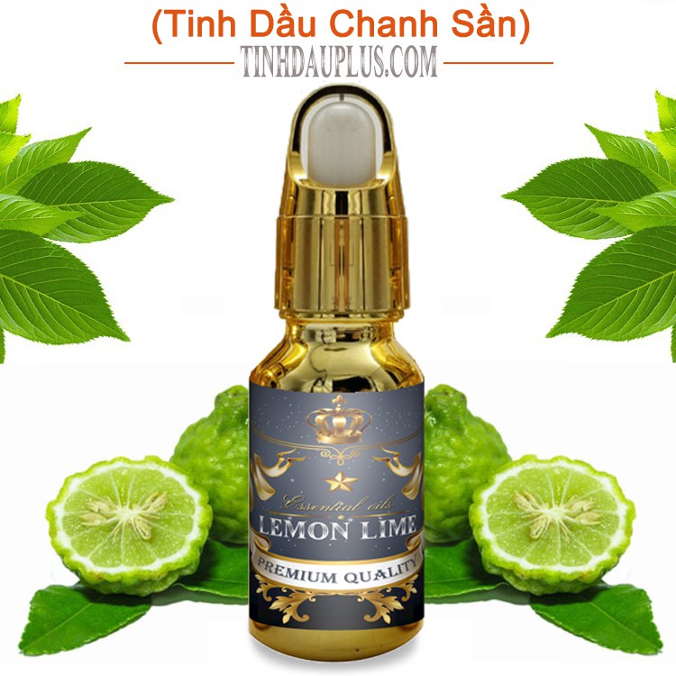 Tinh dầu chanh sần plus 20ml – Lemon Lime EO nguyên chất thiên nhiên Ấn Độ – Thơm mát, sạch