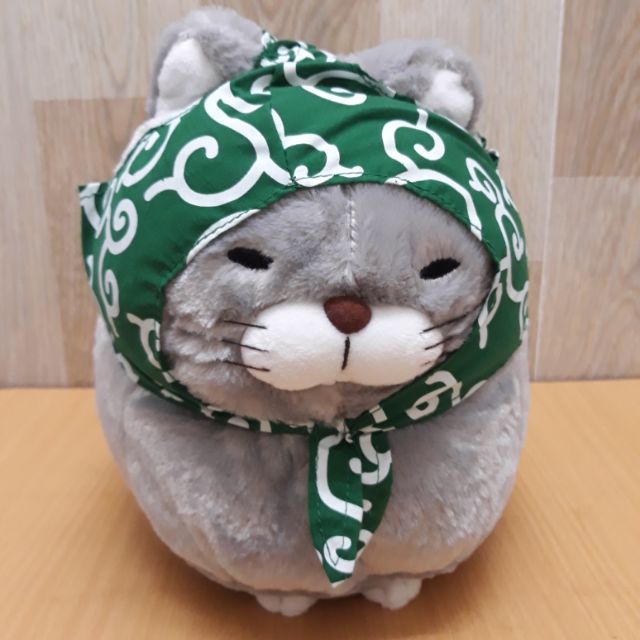 Mèo đội khăn xanh