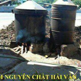 (Hàng xịn) Dầu Tràm Huế 100% nguyên chất