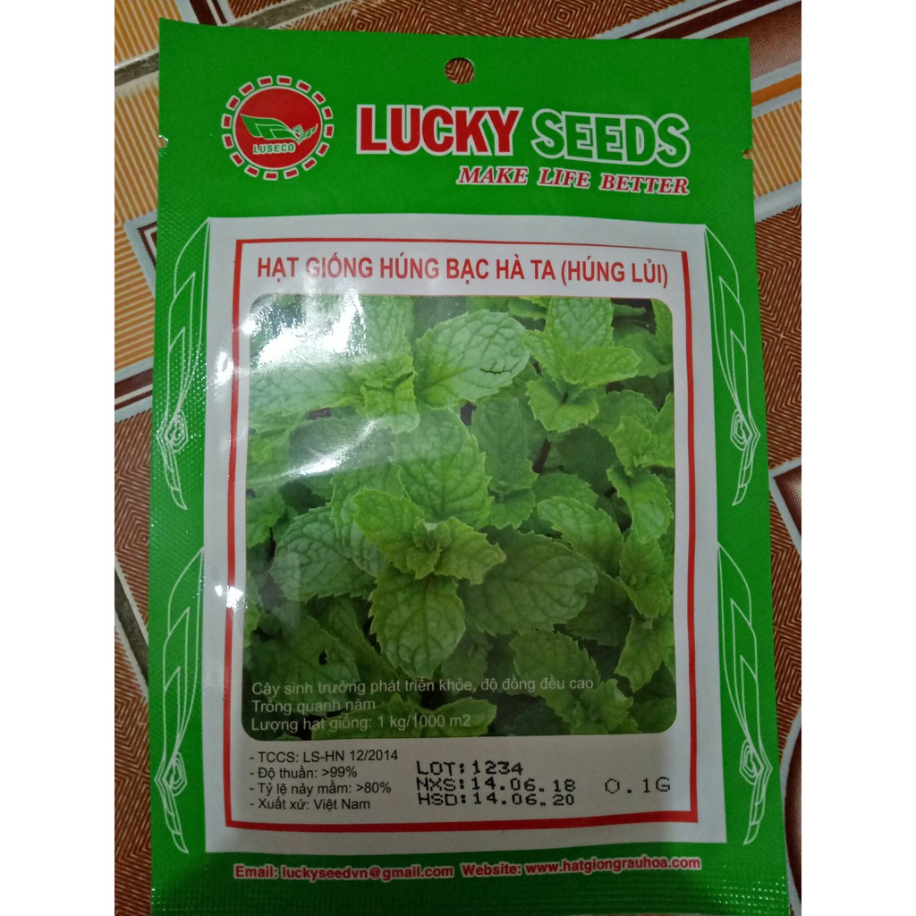 Hạt Giống Húng Bạc Hà Ta