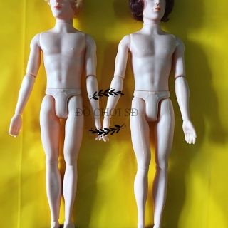 THÂN BÚP BÊ NAM CÓ KHỚP (Không khớp chân)