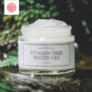 [Mã chiết khấu giảm giá sỉ mỹ phẩm chính hãng] Gel Dưỡng Ẩm I'm From Vitamin Tree Water-Gel