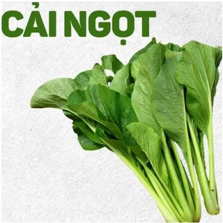 [SIÊU VIP] HẠT GIỐNG RAU CẢI NGỌT ĐẢM BẢO CHẤT LƯỢNG TIÊU CHUẨN CHO CÂY TRỒNG