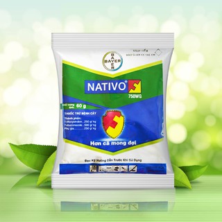NATIVO 750WG – THUỐC ĐẶC TRỊ BỆNH THÁN THƯ, PHẤN TRẮNG CHO CÂY TRỒNG