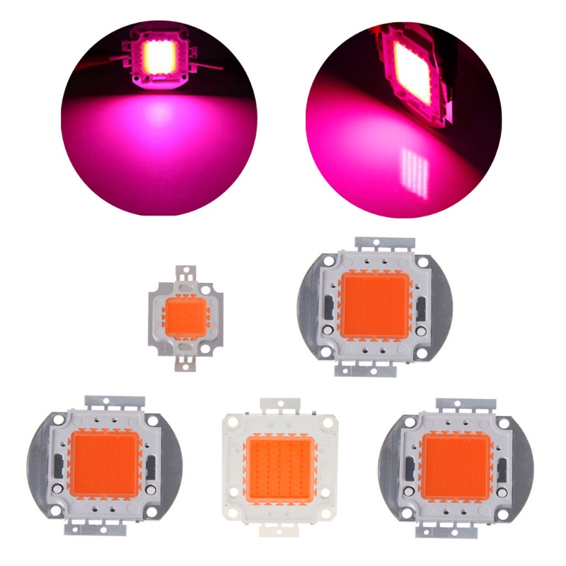 Chip Đèn LED Tăng Trưởng Năng Lượng Cao 100W 50W 30W 20W 10W 380NM-840NM