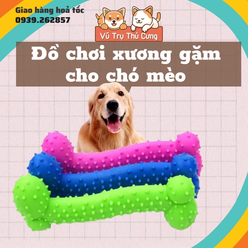 Đồ chơi xương gặm cho chó mèo, xương gặm cao su có gai, sạch răng chó mèo