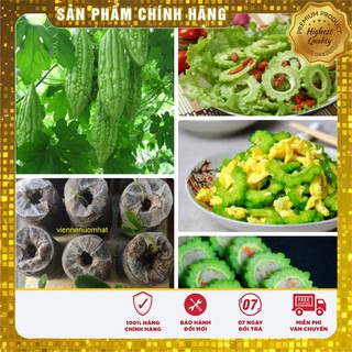 COMBO 10 viên nén và gói hạt giống mướp đắng ngon
