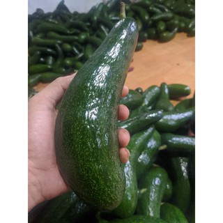Bơ 034 Lâm Đồng loại 2-3