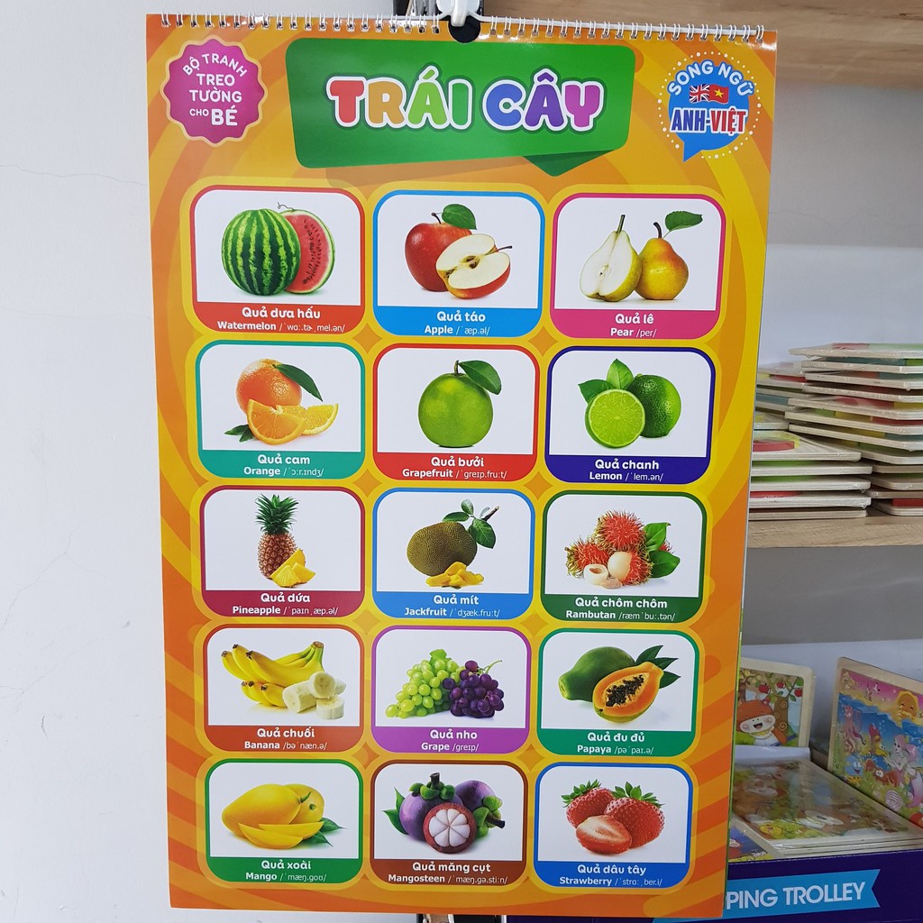 Bộ Tranh Treo Tường cho bé 14 Chủ Đề_ Mẫu mới năm 2022_ Tranh về Thế Giới Xung Quanh Cho Bé Từ 6 Tháng Tuổi