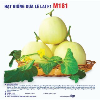 Hạt giống dưa lê siêu ngọt siêu thơm f1 m181