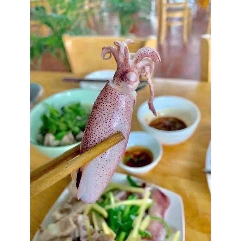 mực ống tươi ngon làm sạch 1kg❤️GIÁ SỈ❤️ giòn ngọt , lẩu nướng