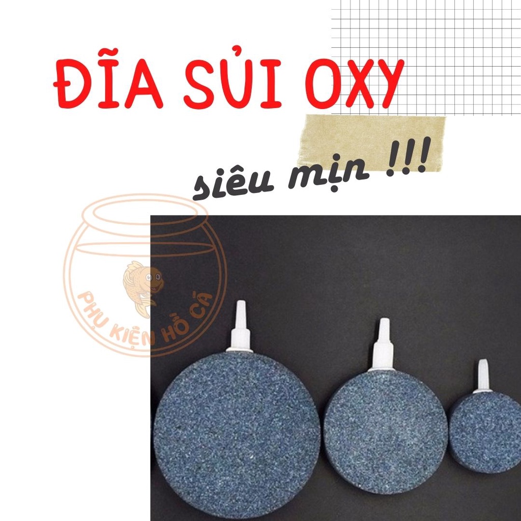 Đĩa sủi oxy cho hồ cá cảnh