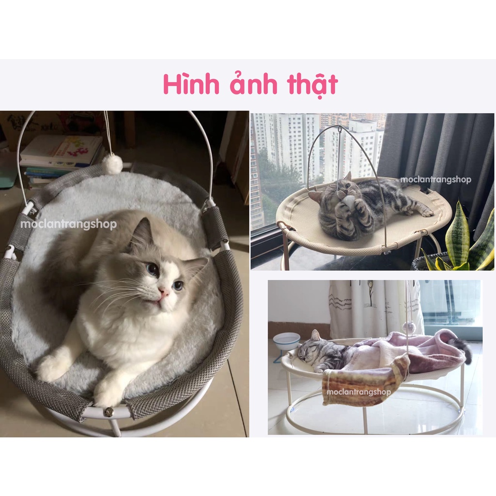 Giường đệm võng cho mèo hình Oval dài 63cm kèm quả bông treo. Ổ mèo ổ chó khung sắt cỡ lớn, chõng nằm ngủ cho mèo tây to