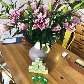 Bột Dưỡng Hoa Tươi lâu tàn tại nhà Hiệu Longlife - Food for Cut Flowers nhập khẩu ISRAEL (COMBO 100 gói tiết kiệm)