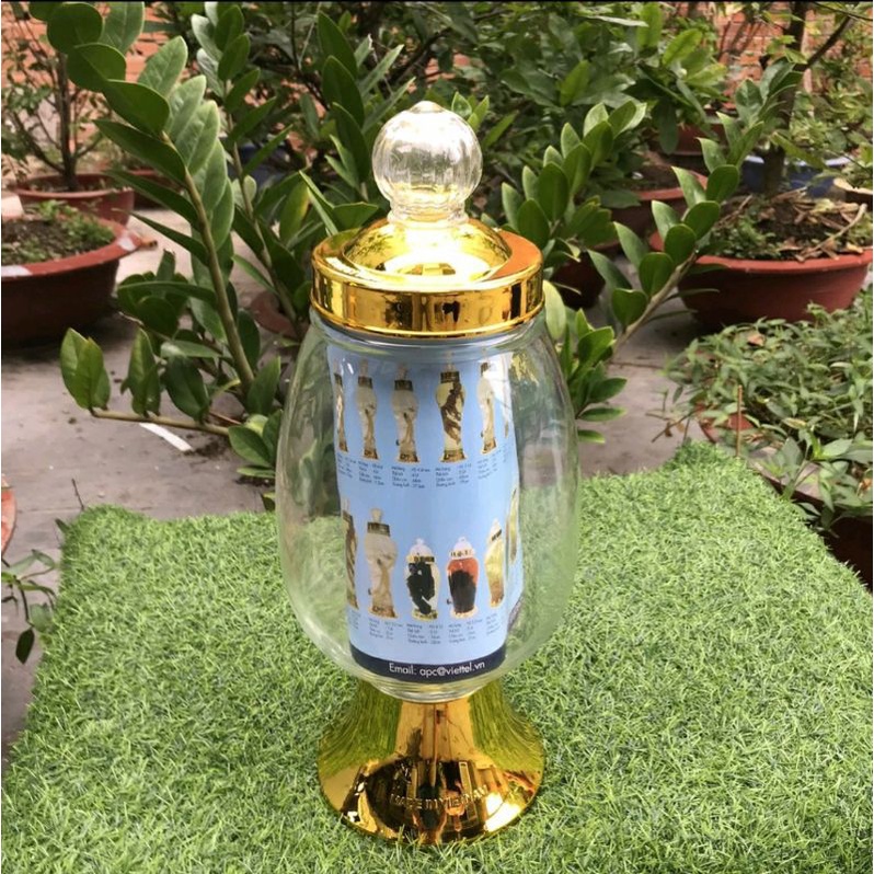 Bình ngâm rượu sâm thủy tinh CAO CẤP PHÚ HÒA 3.95 L