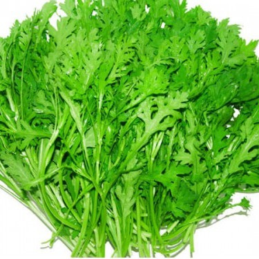 Hạt Giống Rau Tần Ô (20g)