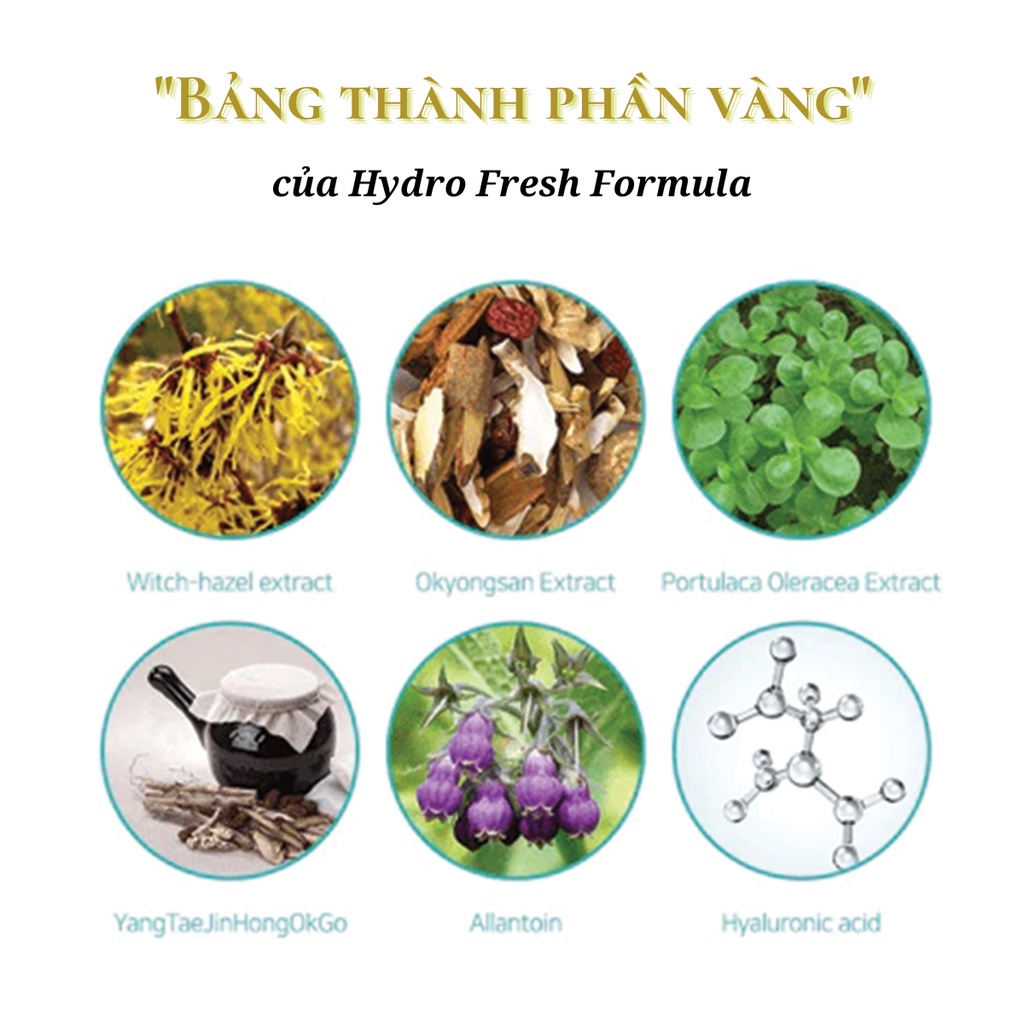 Hydro Fresh Formula Emulsion  – Sữa dưỡng ẩm cấp nước