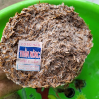 Meo Nấm Rơm Thần Nông (550g)