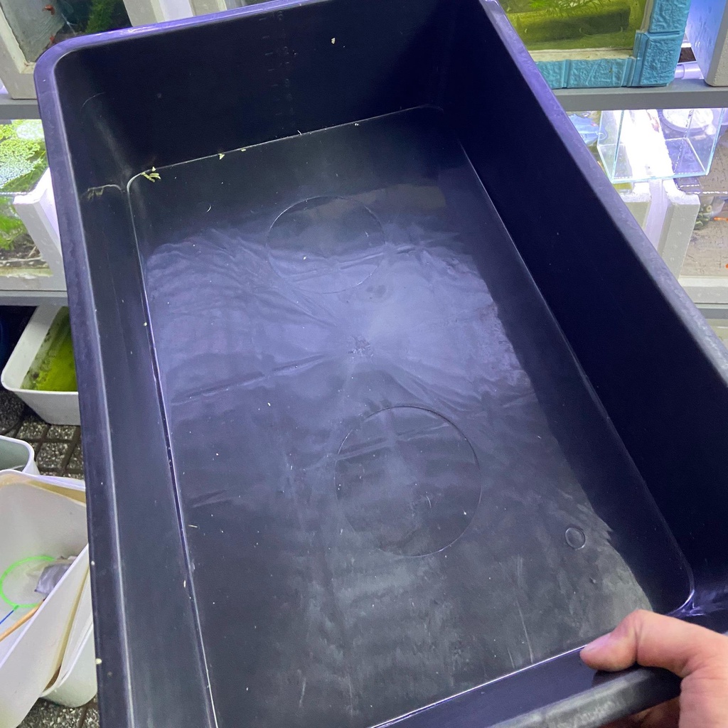 Khay nhựa nuôi cá 16l