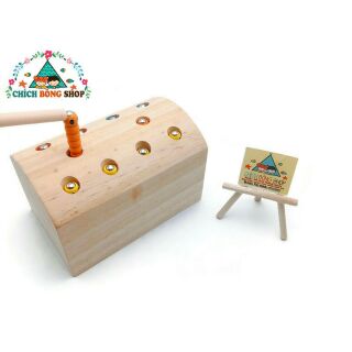 Bộ câu sâu gỗ nam châm
