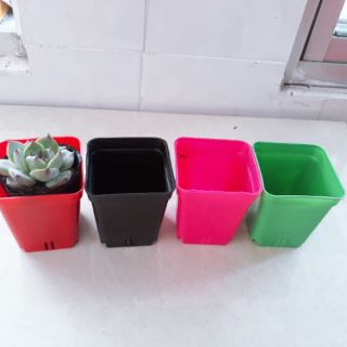 Chậu nhựa cứng 7×7
