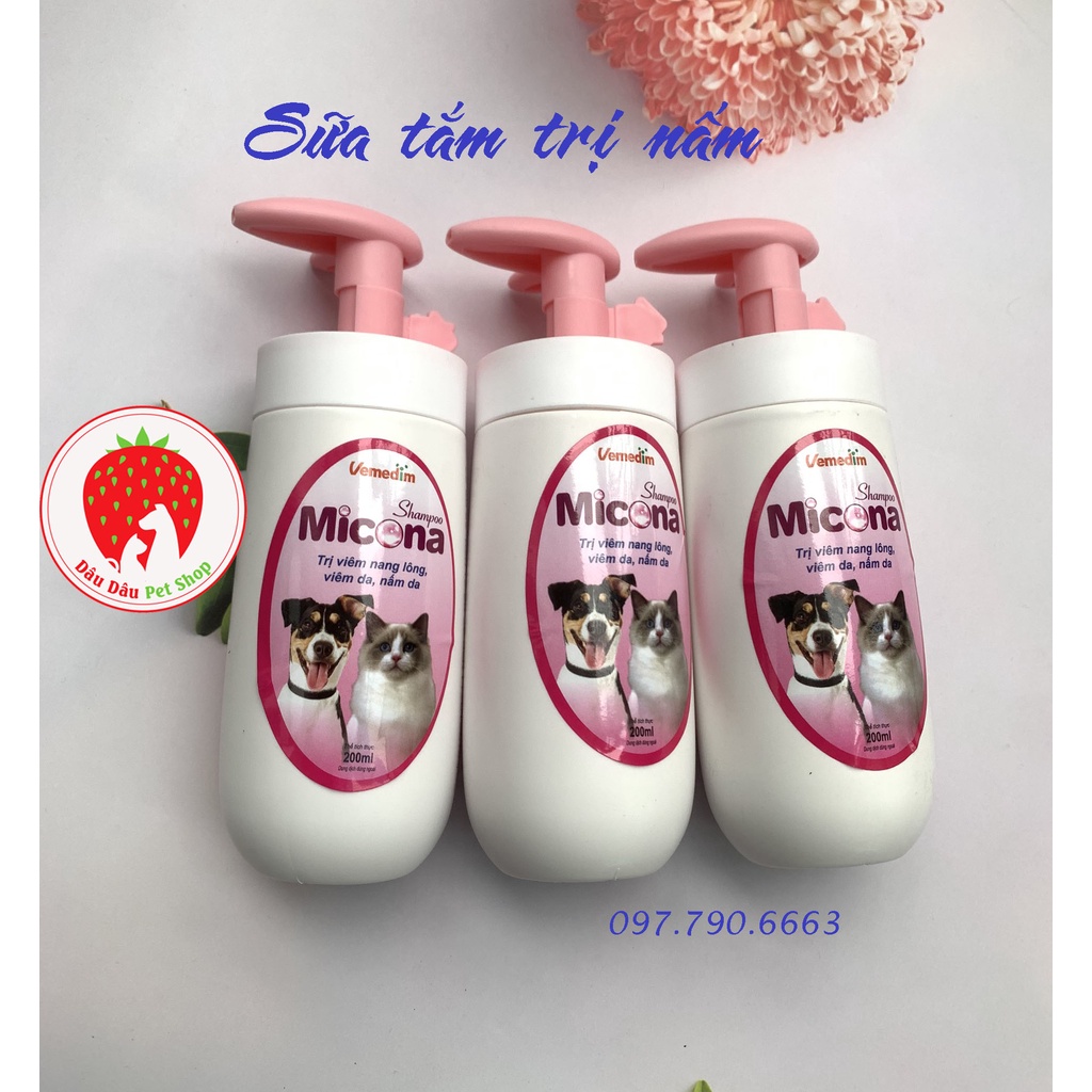 [ Bán sỉ ] Sữa tắm phòng trị nấm, viêm da cho chó mèo Micona shampoo