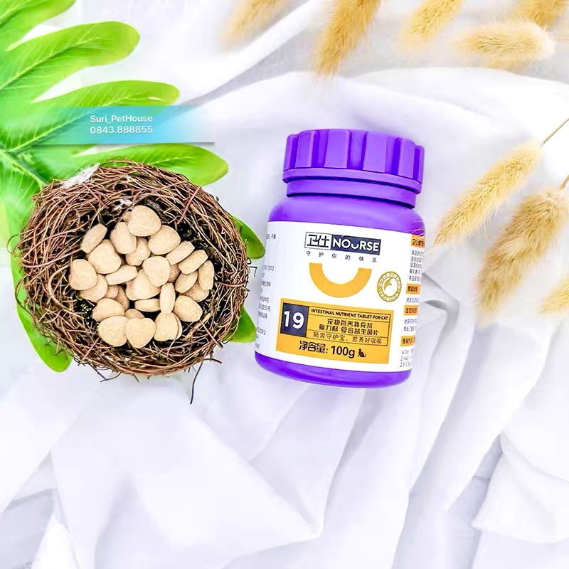 Men tiêu hoá Nourse 19 bổ sung Prebiotic cho mèo giúp cải thiện hệ tiêu hoá và hấp thụ dinh dưỡng (200v)