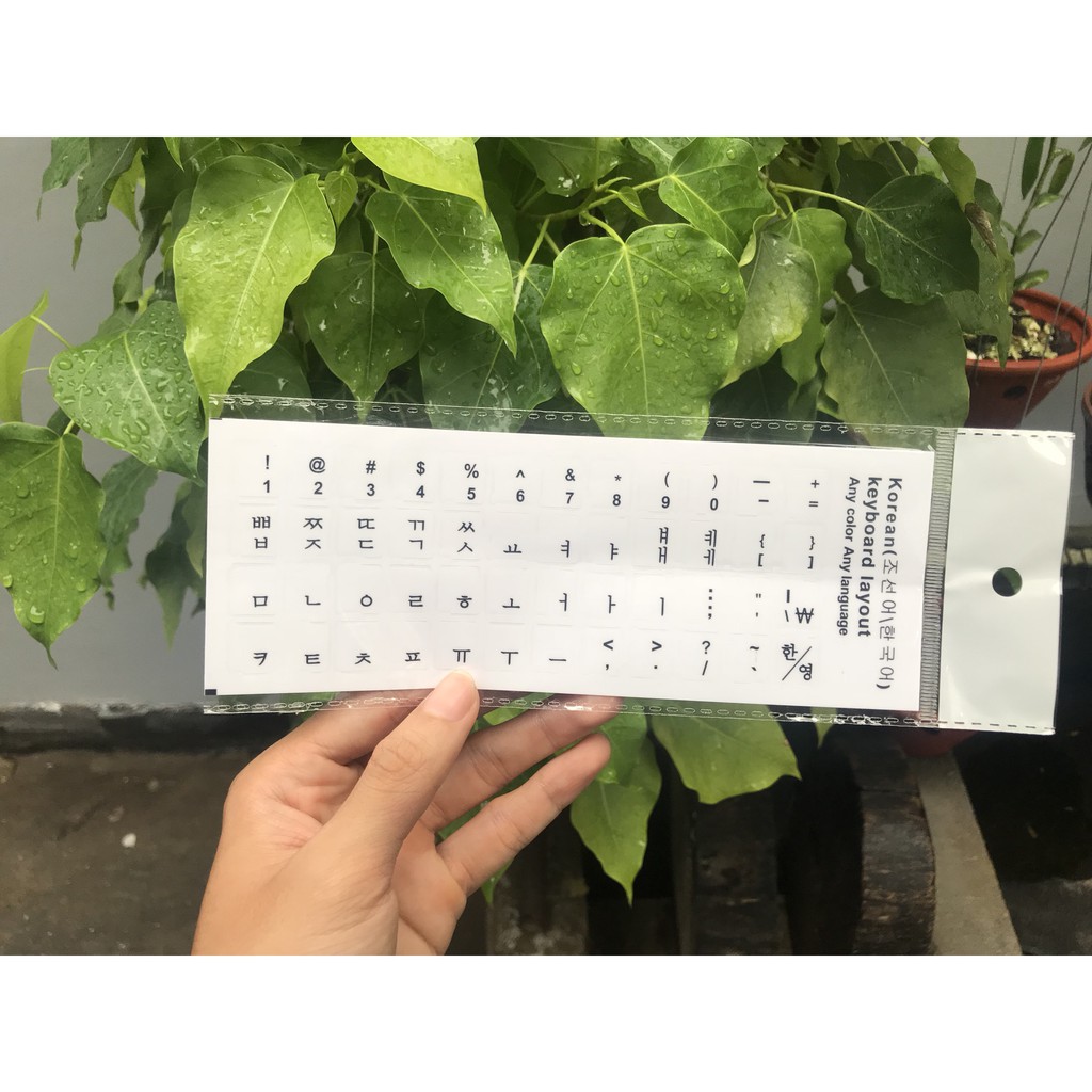 Miếng Dán Bàn Phím Tiếng Anh / Hàn / Trung