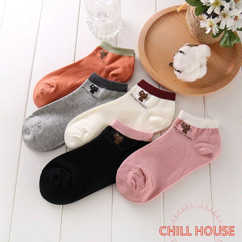 SÉT 5 Đôi Tất Mèo Cổ Ngắn Chống Hôi Chân trộn màu - CHILLHOUSE