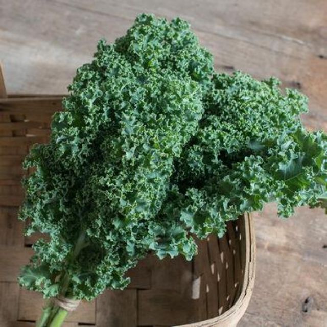 KALE GREEN CURLY KALE