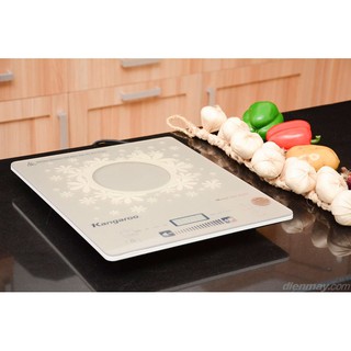 Bếp từ kangaroo kg419i