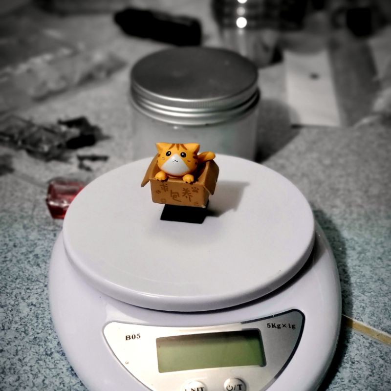 Keycap bé mèo trong thùng carton, nút bấm bàn phím cơ hình mèo