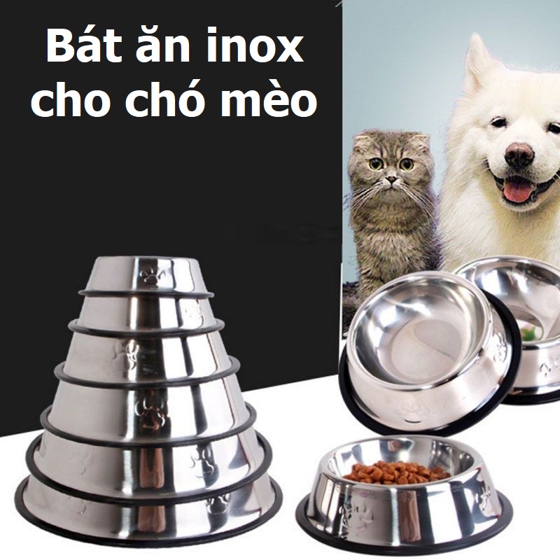 Bát ăn cho chó mèo - inox không màu chống gỉ sét
