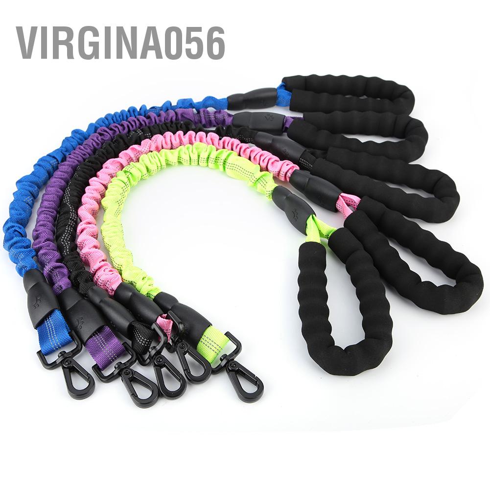 Dây DẫN Thú Cưng Đi DạO 2.46ft