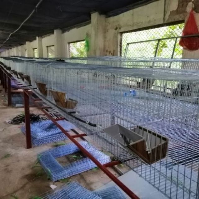 Máng ăn cho Thỏ 15cm 2 tầng bằng tôn