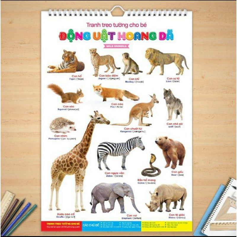 Tranh treo tường 16 chủ đề  mẫu mới nhất to và dày hơn