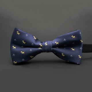 Cà vạt Tuxedo cao cấp cho nam