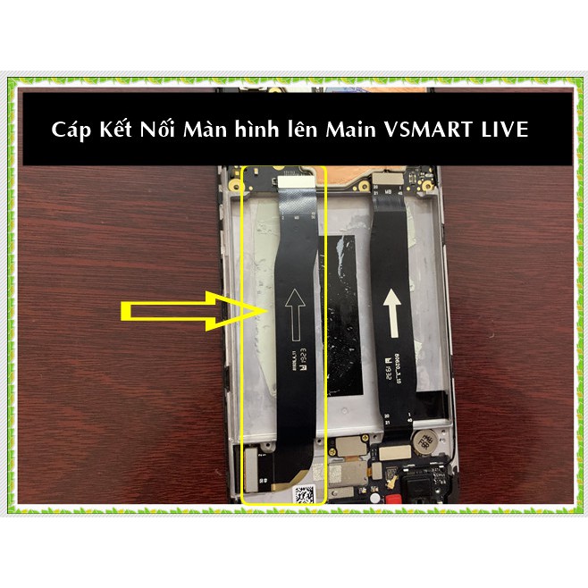 Cáp kết nối màn hình lên main VSMART LIVE/V620A