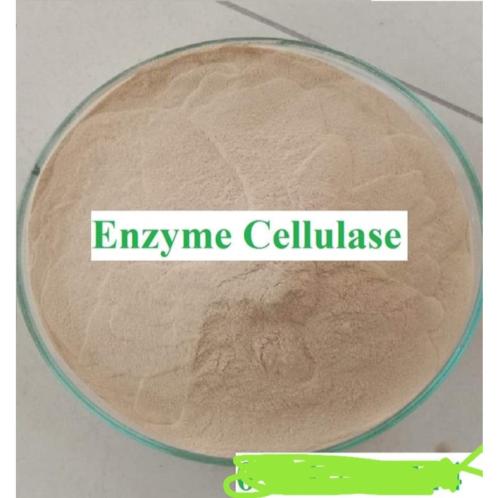 NGUYÊN LIỆU enzyme Cellulase 5.000 Ui/g