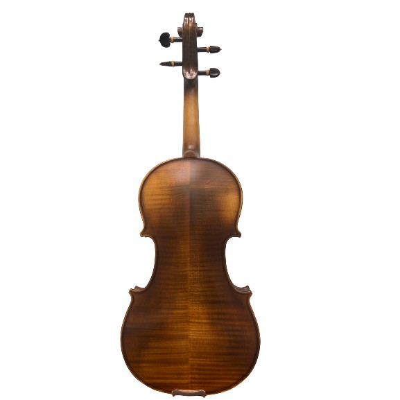 Đàn violin vân vẽ