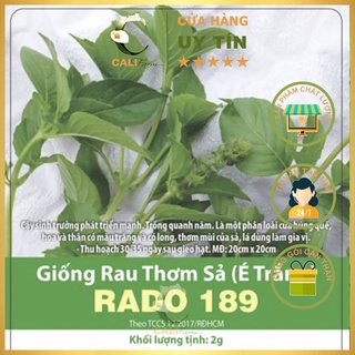 Hạt giống Rau Thơm Sả (É Trắng) Rado 189 (2gr)