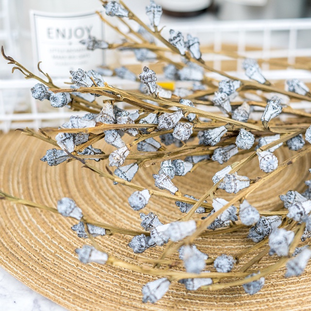 1 nhánh hoa bạch đàn khô thơm, dùng để chụp ảnh sản phẩm hoặc trang trí shop, decor quán cafe