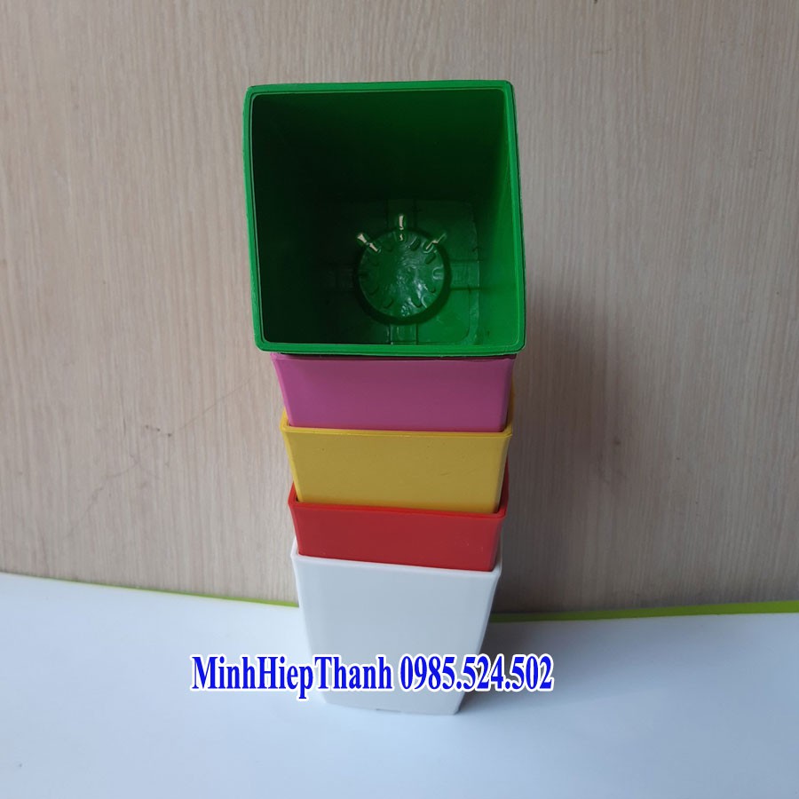 combo 5 chậu vuông v12 cạnh 12cm