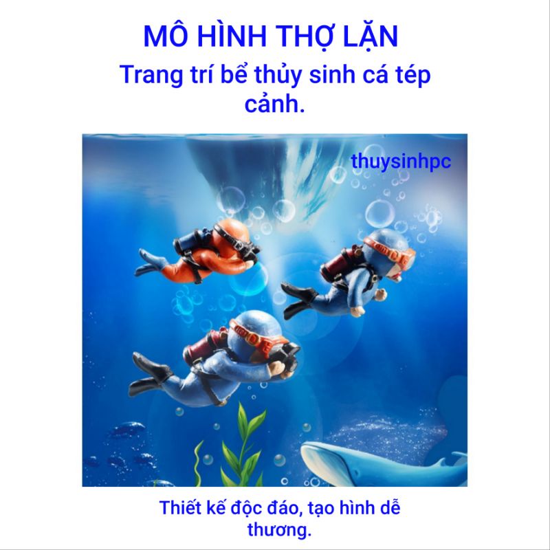 Thợ lặn trang trí thủy sinh cá tép cảnh