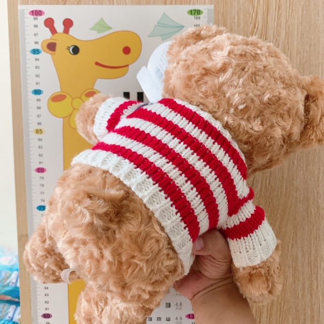 [THANH LÝ] Gấu Bông Teddy Bear Hàng Cao Cấp