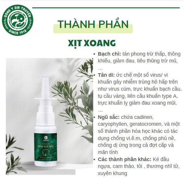 Xịt Mũi, hỗ trợ xoang Thông Cát - Giảm nhanh viêm xoang, viêm mũi dị ứng, ngăn ngứa mũi, sổ mũi, nghẹt mũi hiệu quả