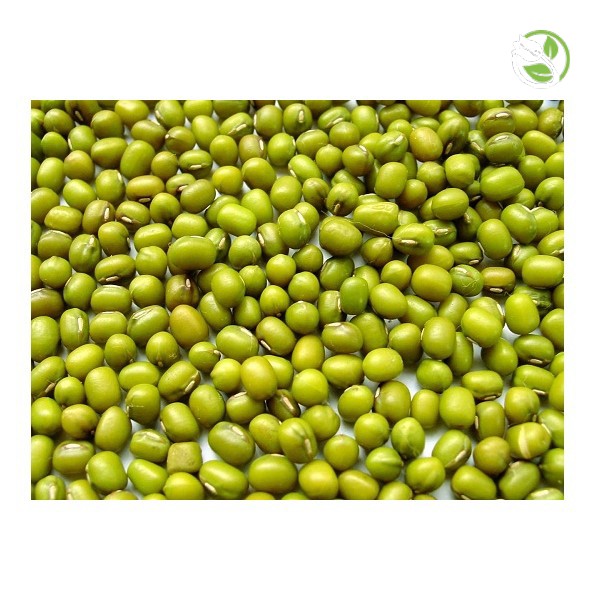 Hạt Giống Đậu Xanh Cao Sản - Gói Lớn 1kg
