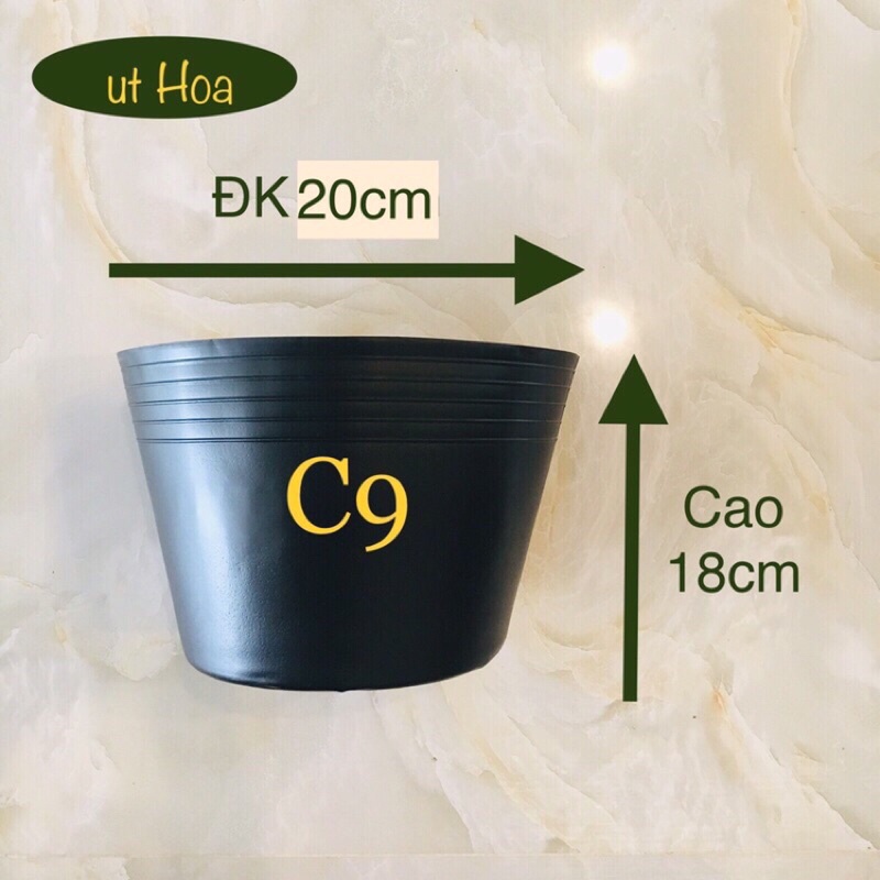 Chậu nhựa đen C9 trồng cây rất dày dặn