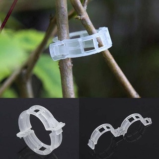 VÒNG KẸP NHỰA TRẮNG DÙNG ĐỂ NÍU, GIỮ THÂN CÂY.