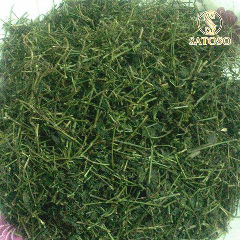Giảo cổ lam SATOSO 1kg thượng hạng tốt cho sức khỏe SA13